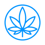 SpringBig Logo Icon