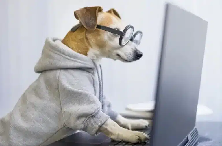 Canine Copywriter