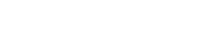 From The Earth Case Study