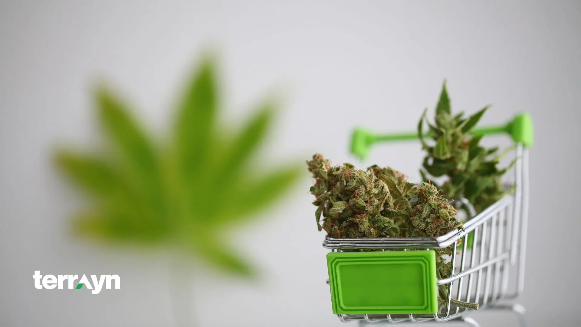 Dispensary Marketing & Advertising Ideas