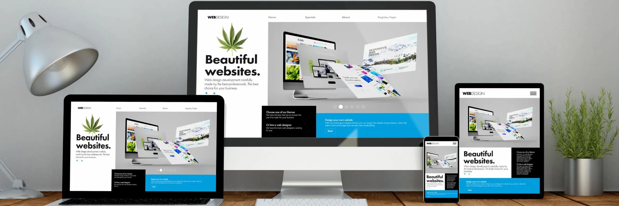 Dispensary Website Optimization